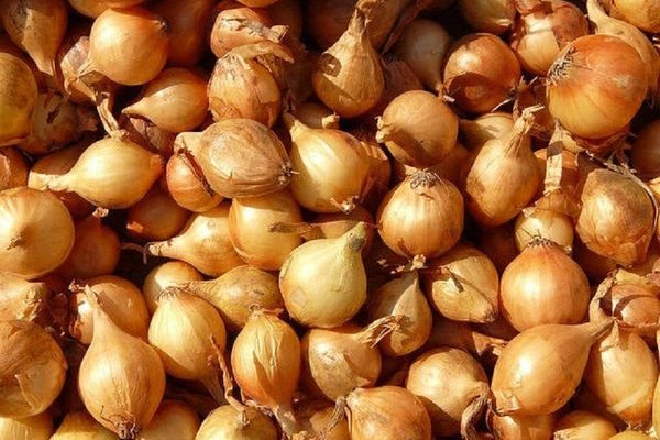 Кракен магазин kr2web in тор