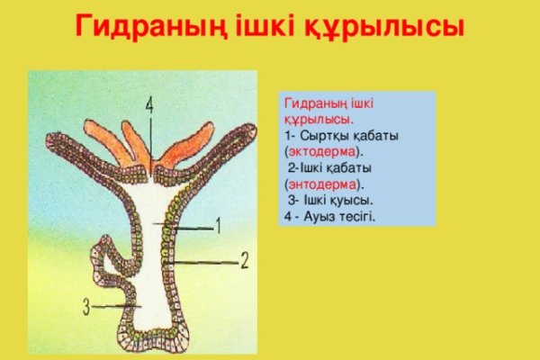 Пополнить кошелек кракен